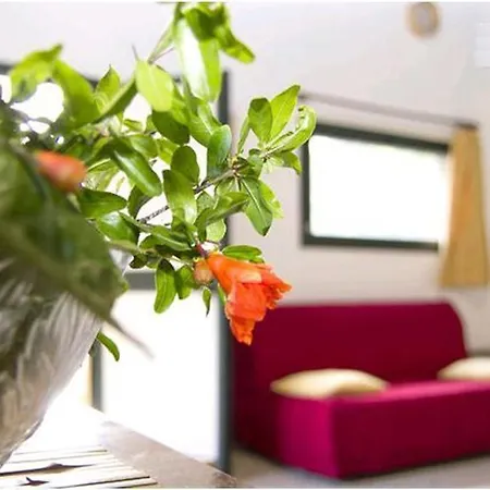 Holiday home Blualghero *