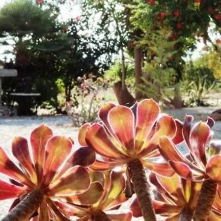 Holiday home Blualghero Alghero