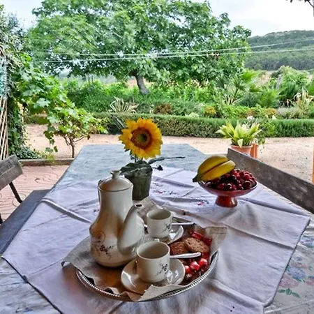 Blualghero Holiday home *
